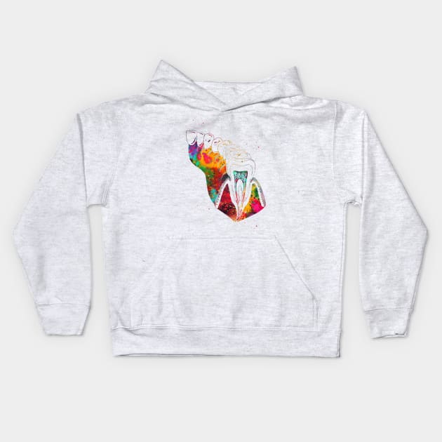 Molar Tooth Section Kids Hoodie by erzebeth